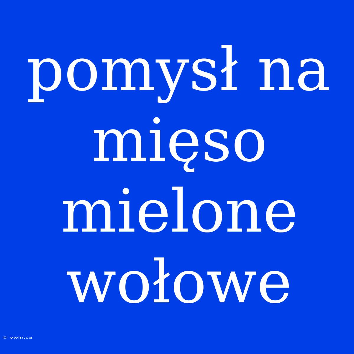 Pomysł Na Mięso Mielone Wołowe