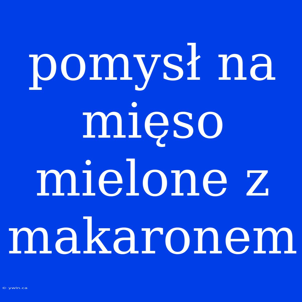 Pomysł Na Mięso Mielone Z Makaronem