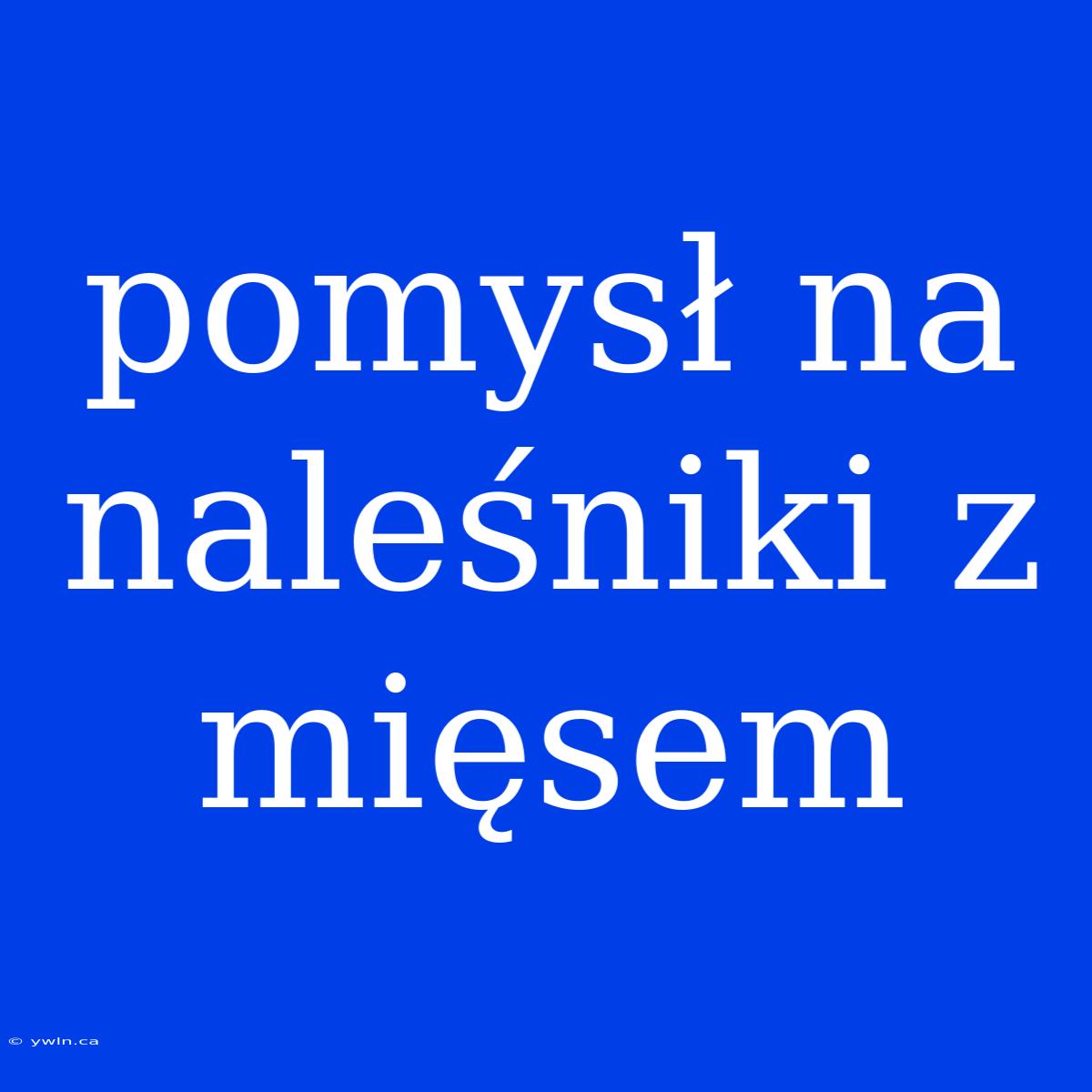 Pomysł Na Naleśniki Z Mięsem