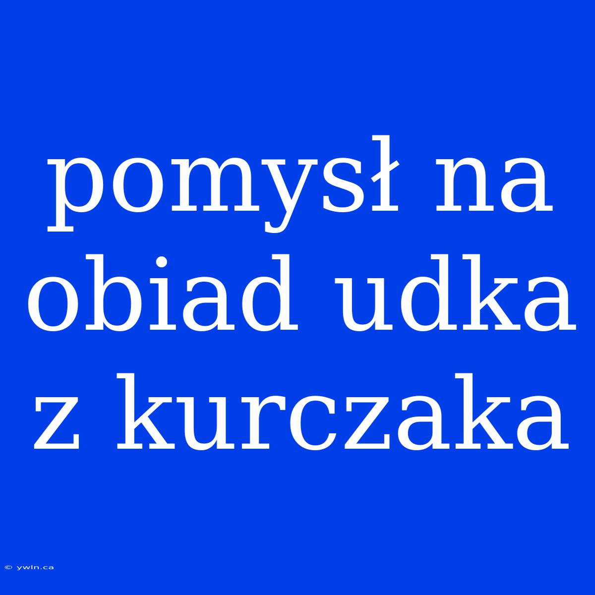 Pomysł Na Obiad Udka Z Kurczaka