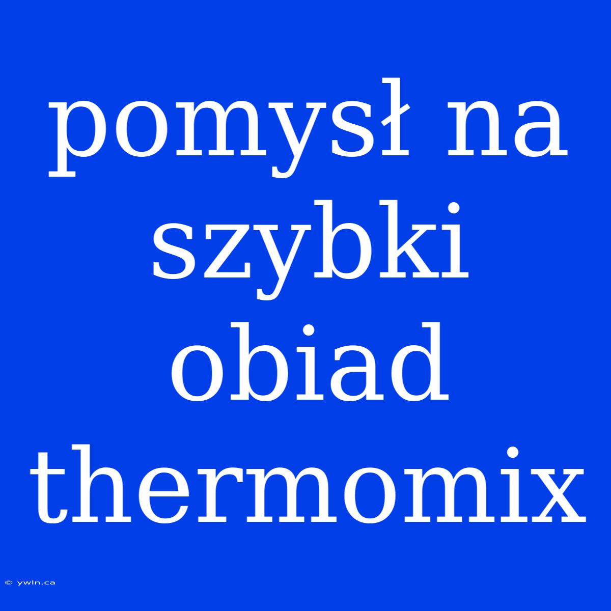 Pomysł Na Szybki Obiad Thermomix