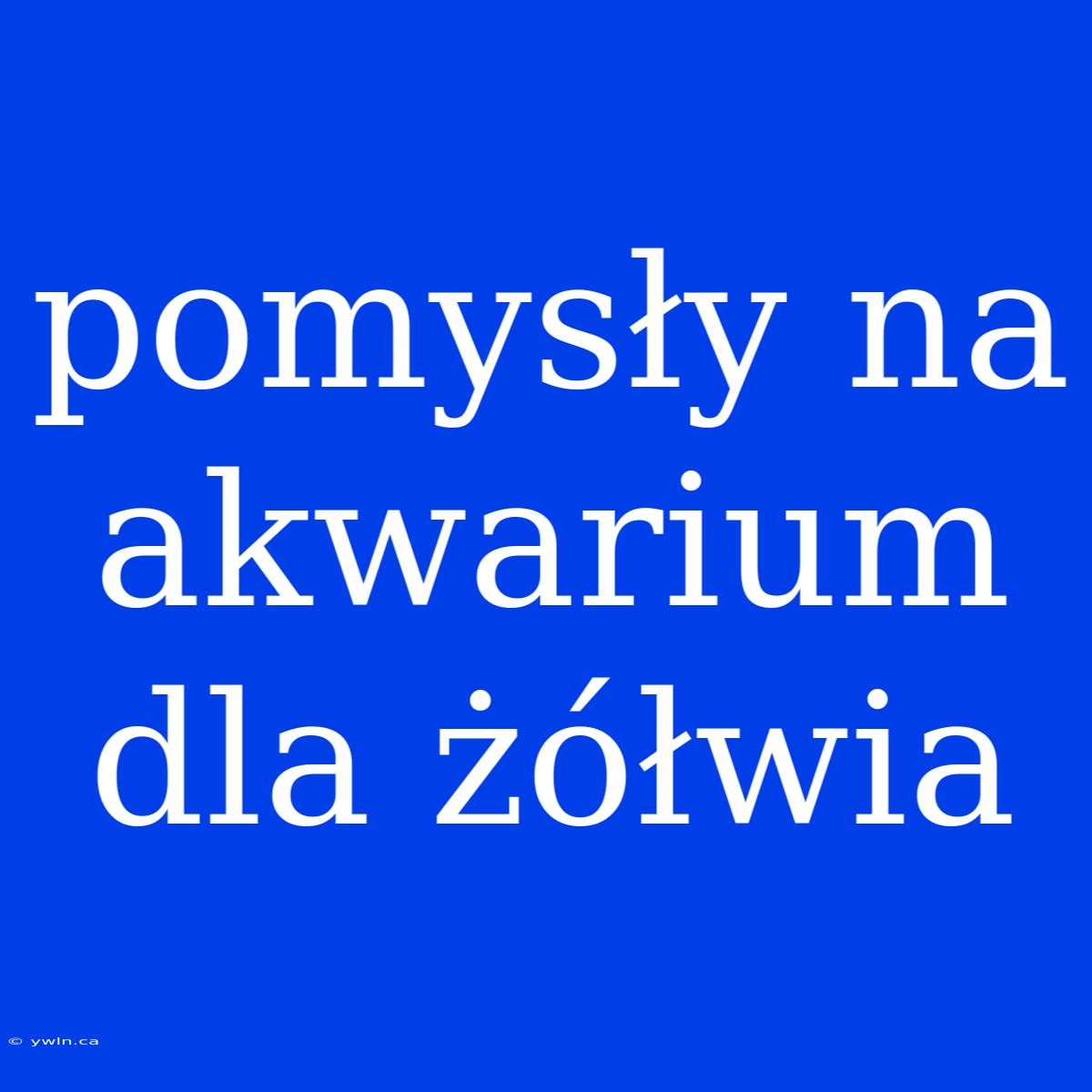 Pomysły Na Akwarium Dla Żółwia