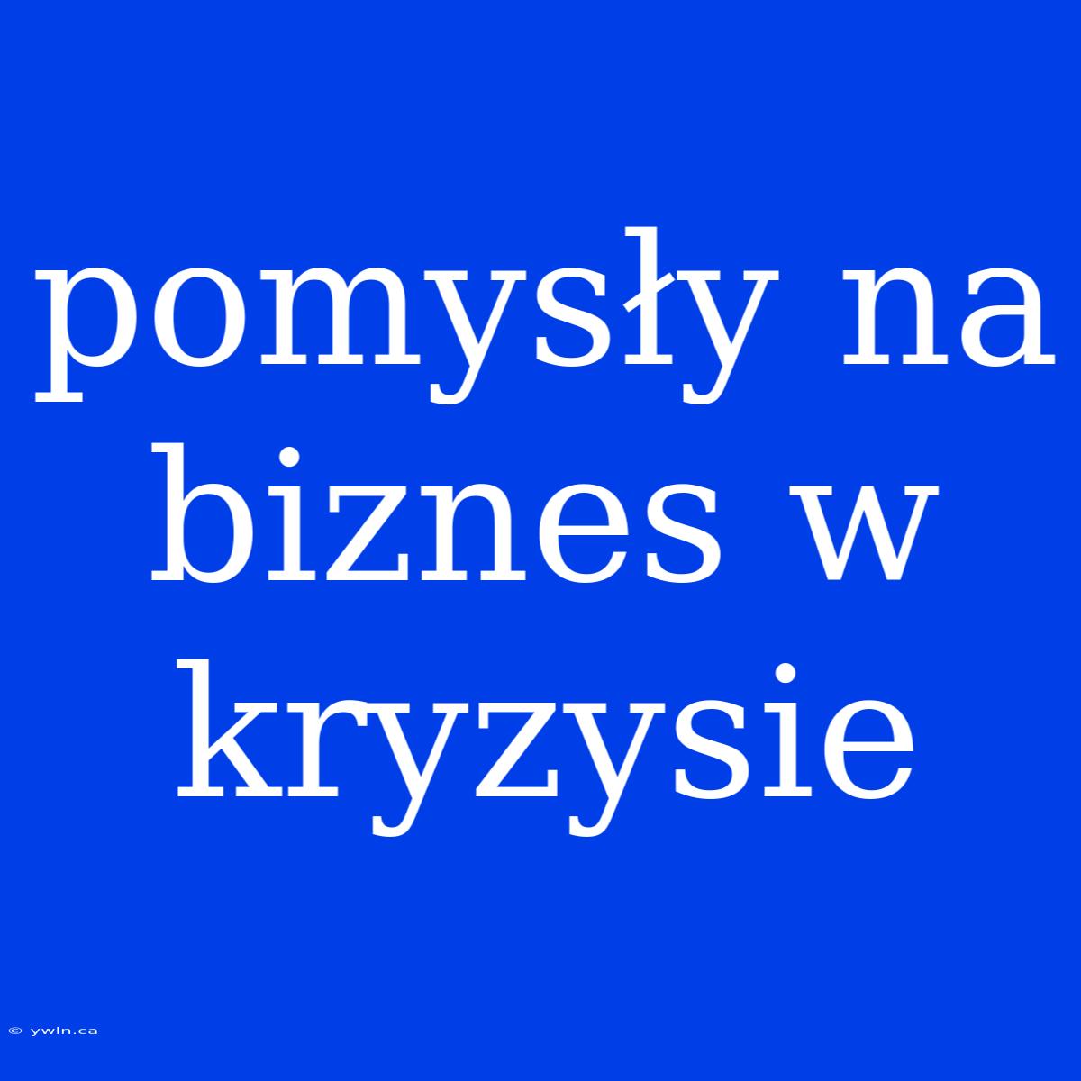 Pomysły Na Biznes W Kryzysie