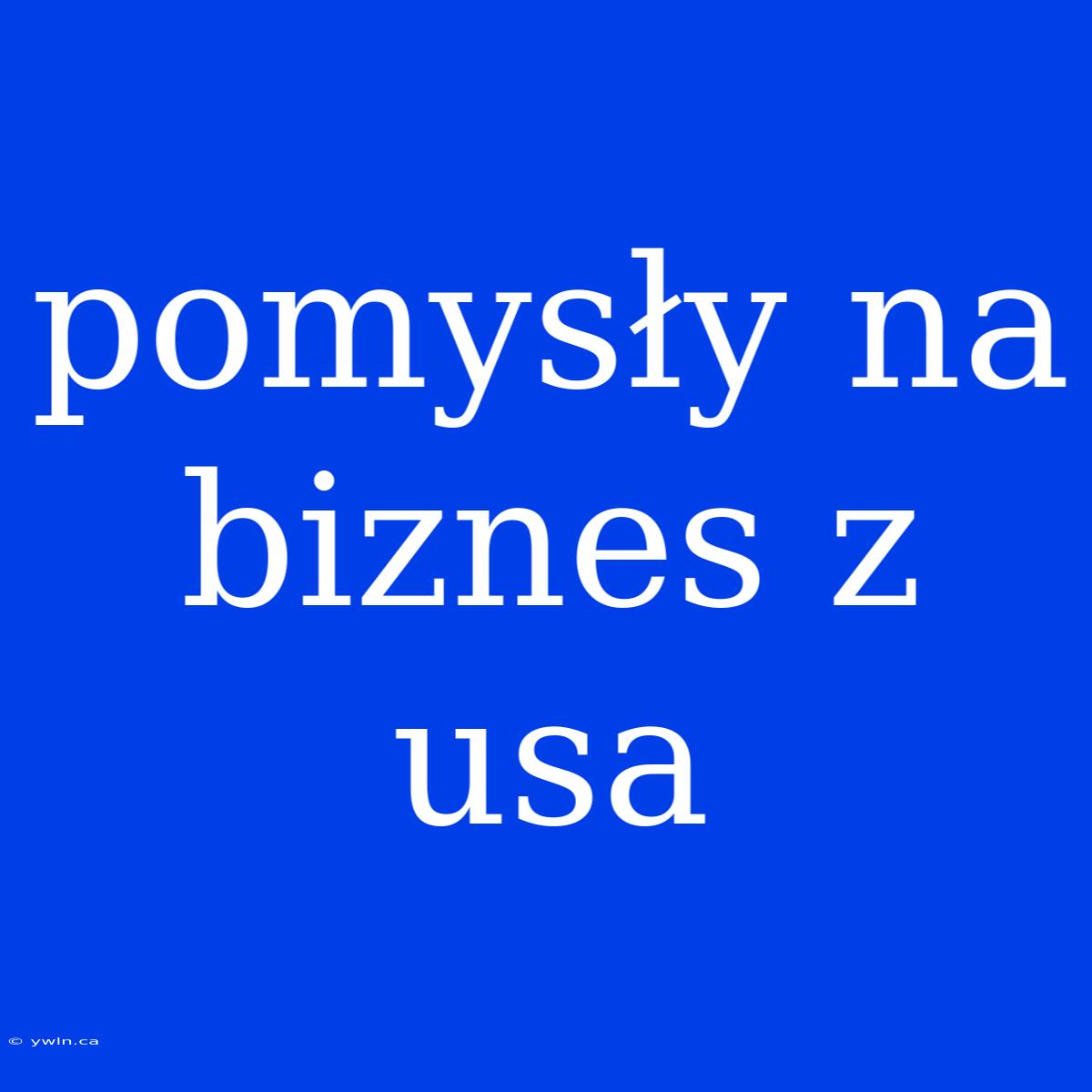 Pomysły Na Biznes Z Usa