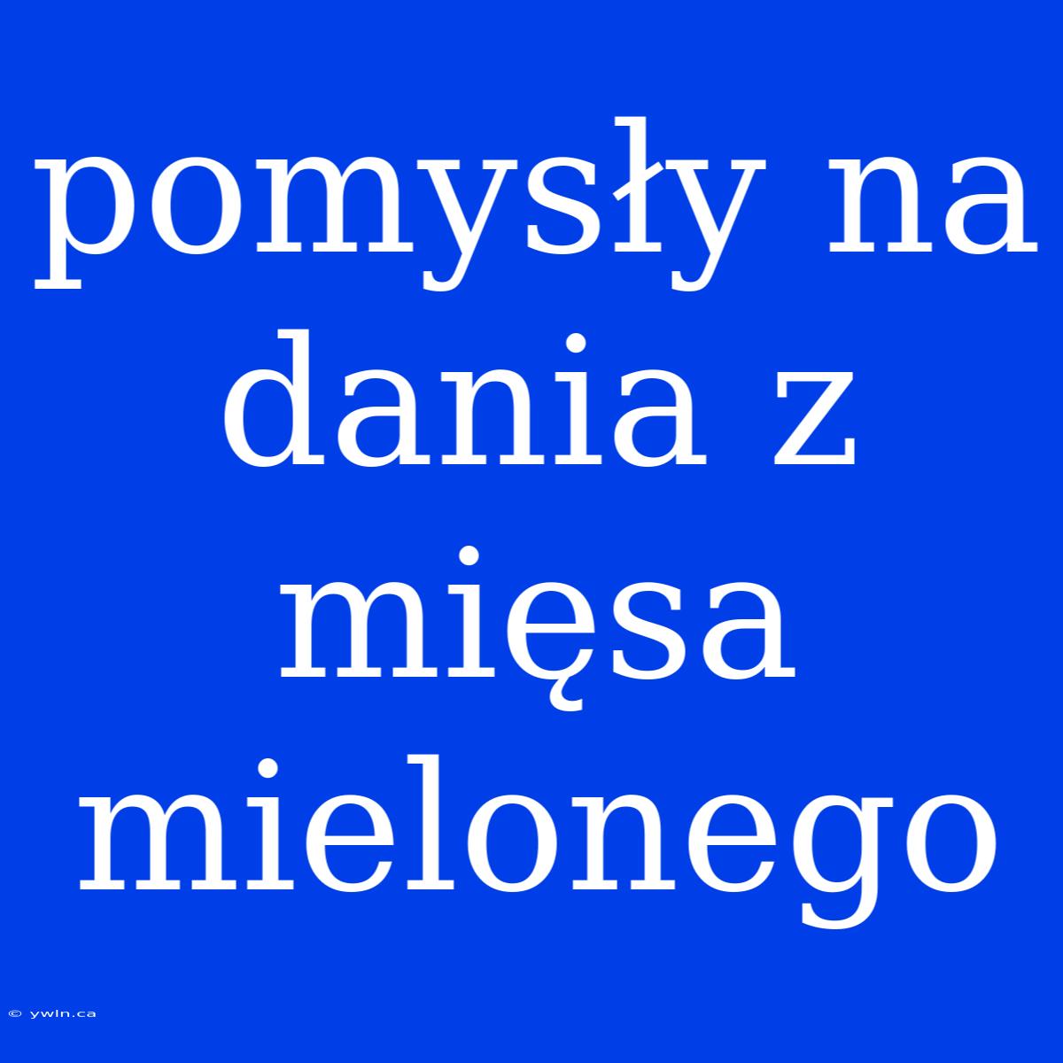 Pomysły Na Dania Z Mięsa Mielonego