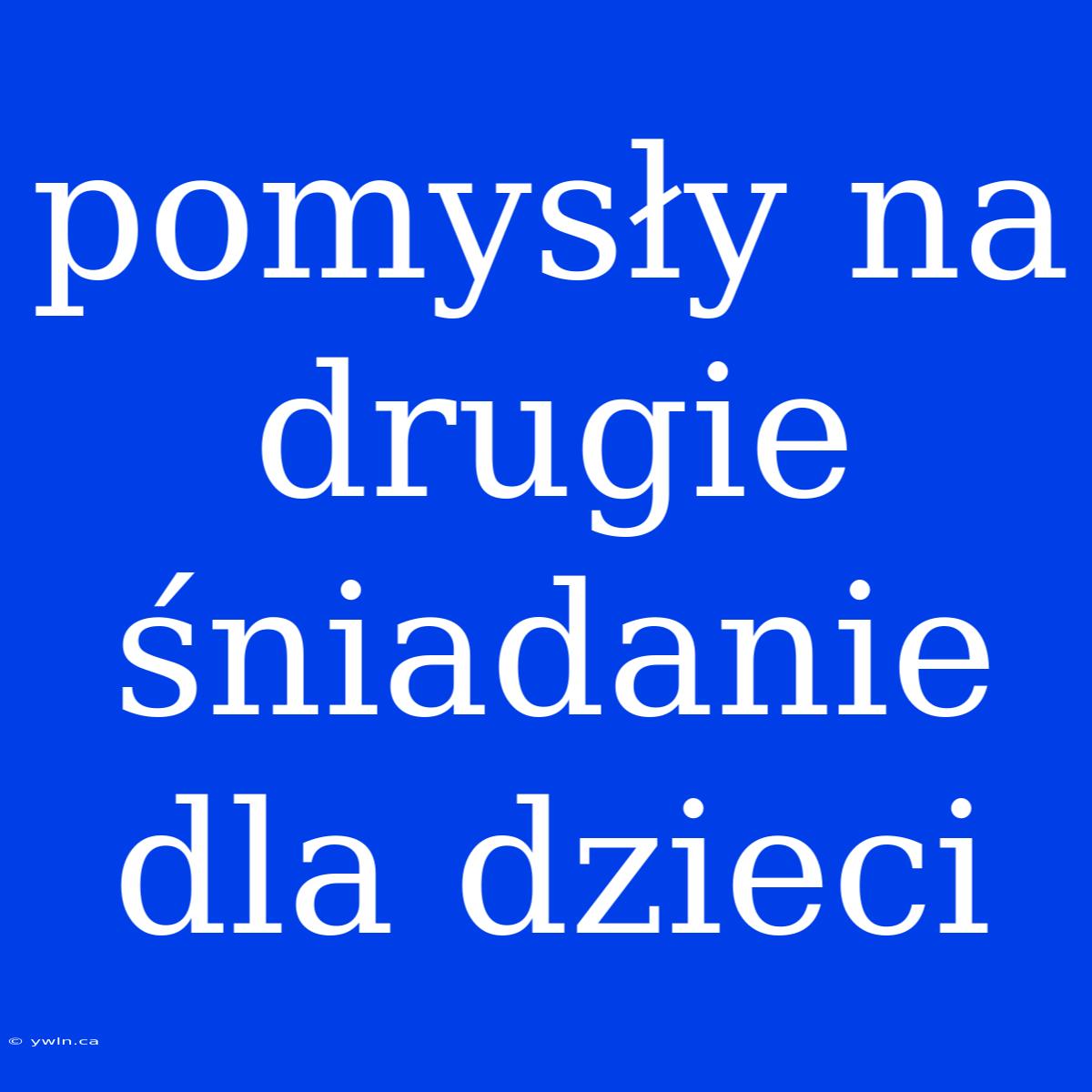 Pomysły Na Drugie Śniadanie Dla Dzieci