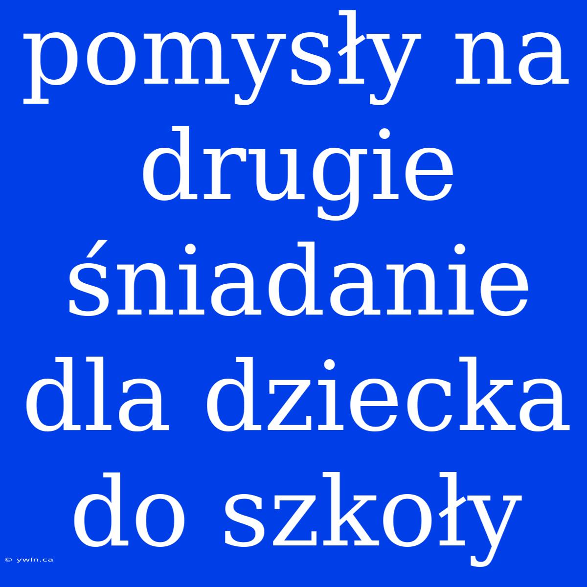 Pomysły Na Drugie Śniadanie Dla Dziecka Do Szkoły