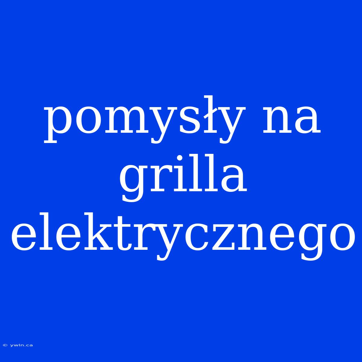 Pomysły Na Grilla Elektrycznego