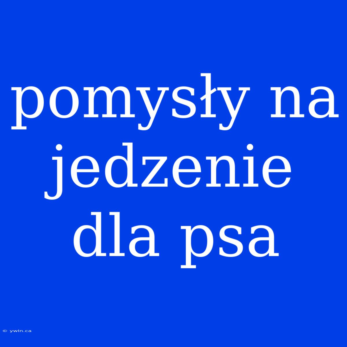 Pomysły Na Jedzenie Dla Psa