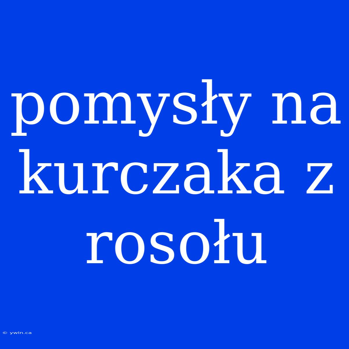 Pomysły Na Kurczaka Z Rosołu