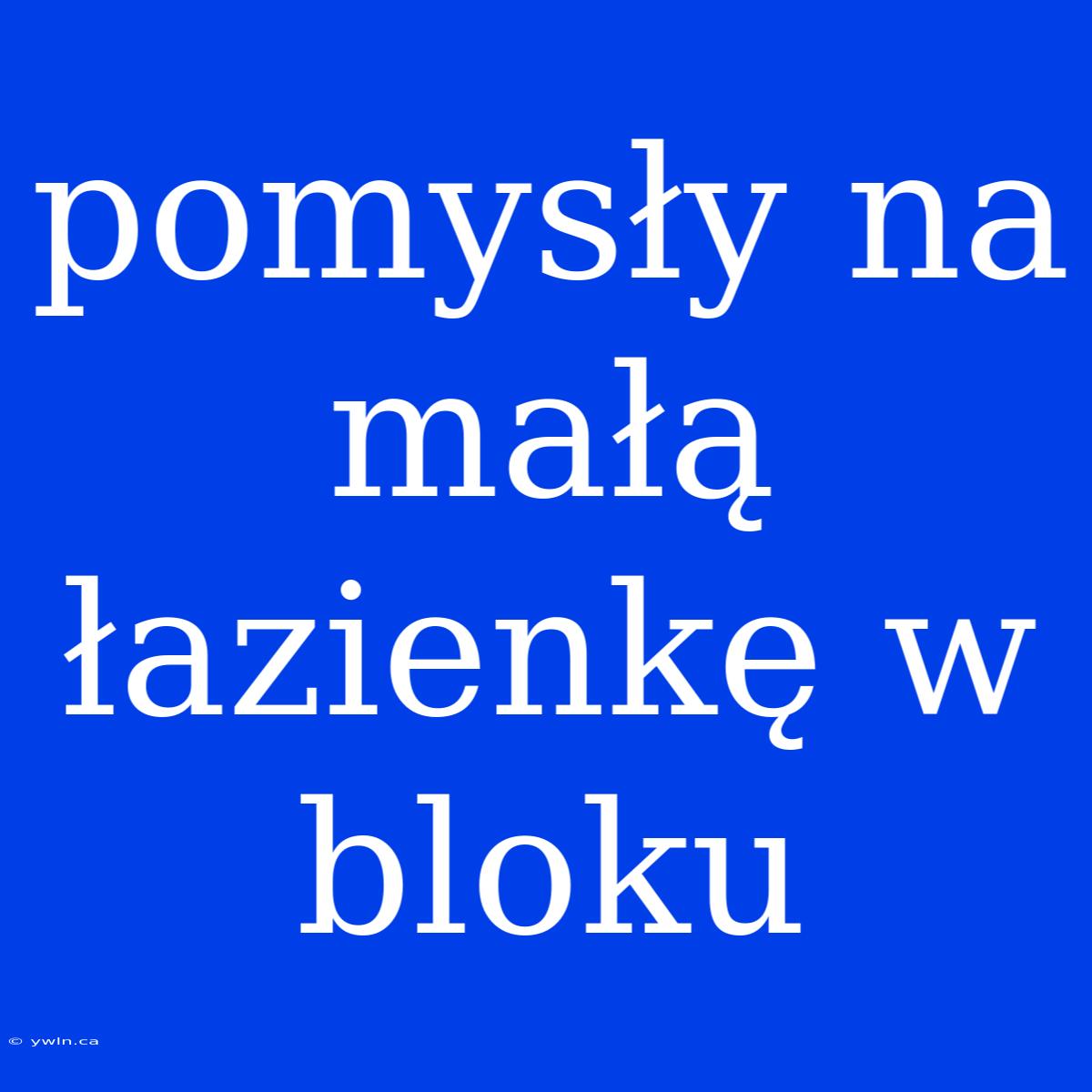 Pomysły Na Małą Łazienkę W Bloku