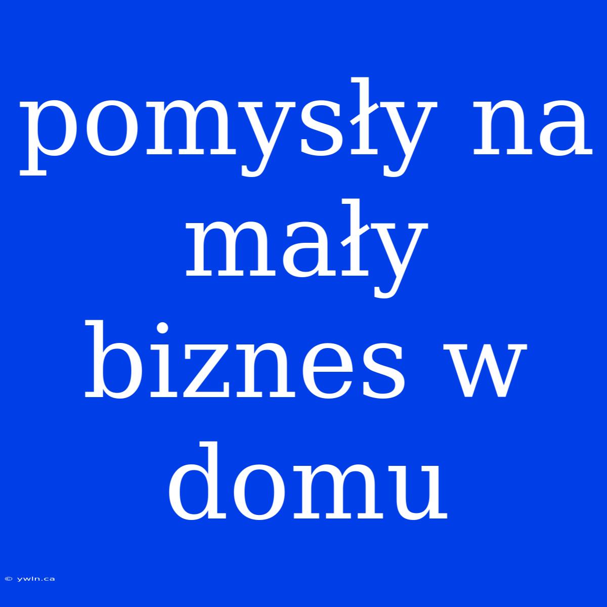 Pomysły Na Mały Biznes W Domu