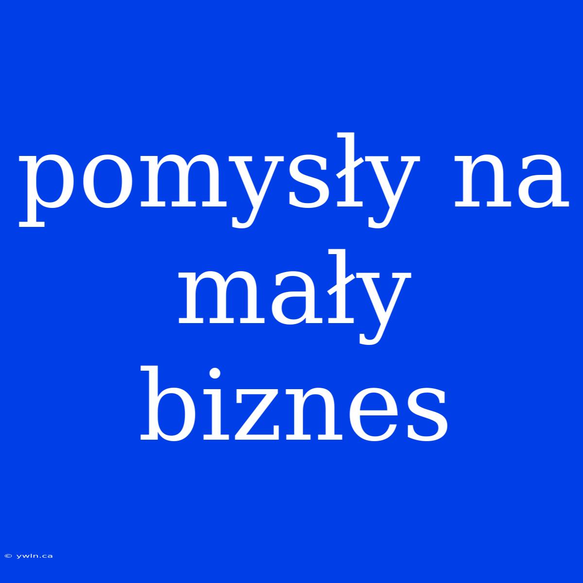 Pomysły Na Mały Biznes