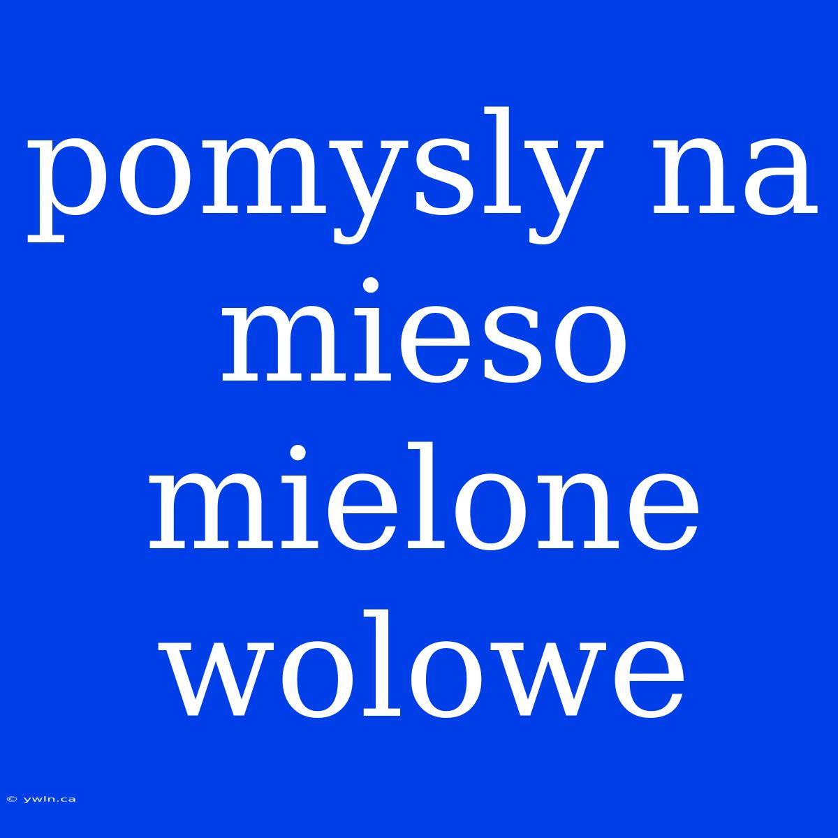 Pomysly Na Mieso Mielone Wolowe