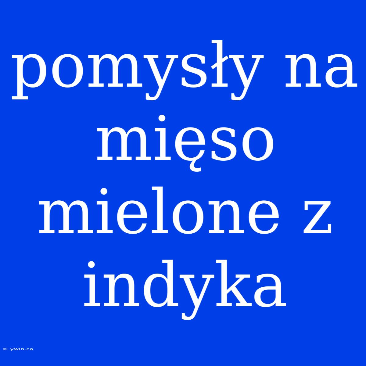 Pomysły Na Mięso Mielone Z Indyka