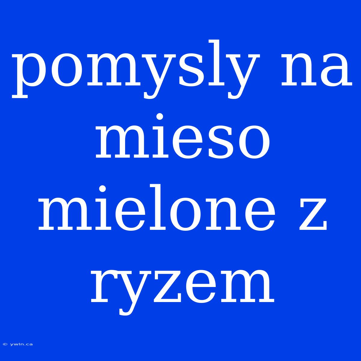 Pomysly Na Mieso Mielone Z Ryzem