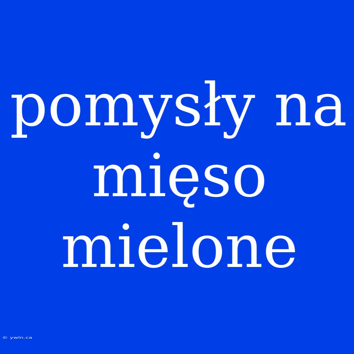 Pomysły Na Mięso Mielone