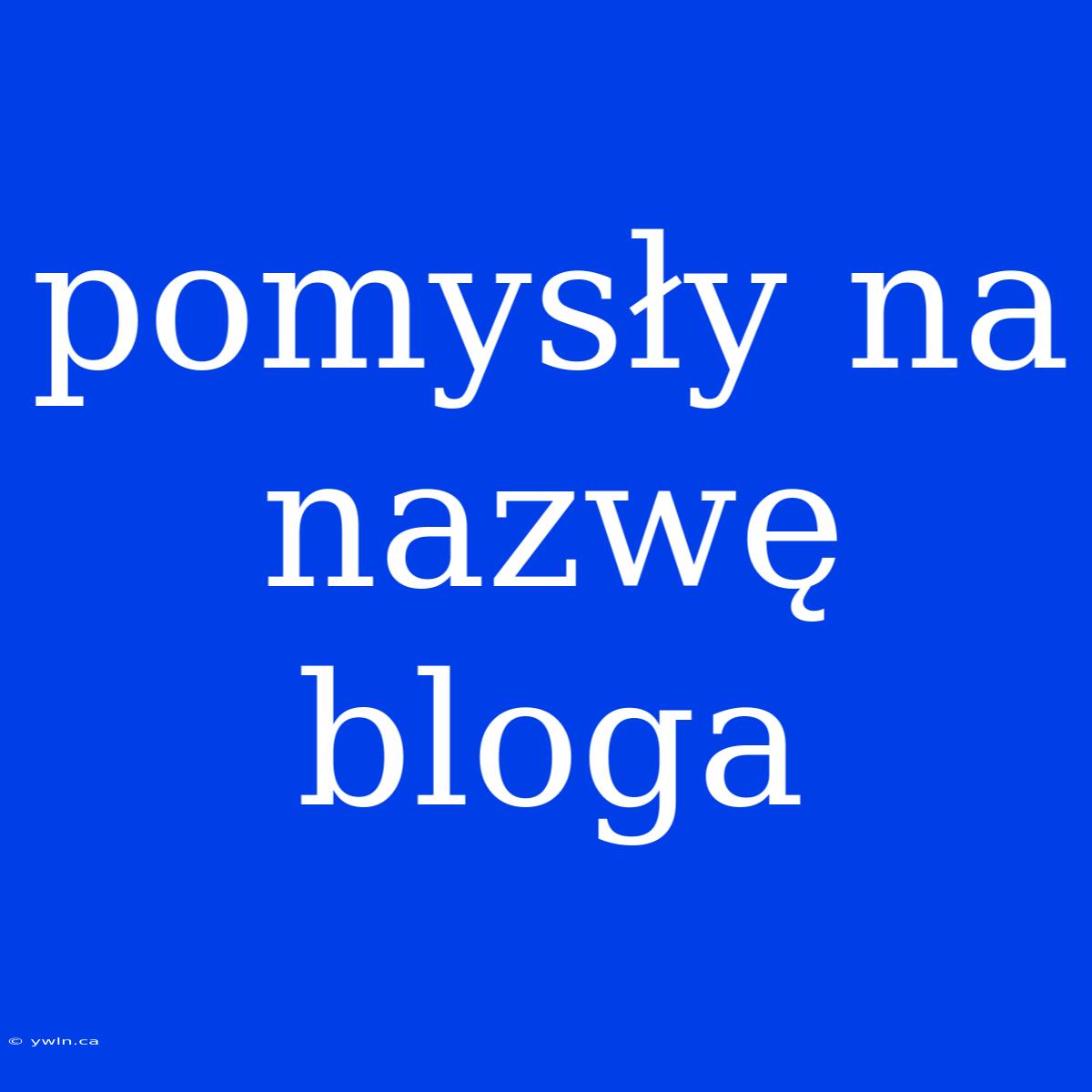 Pomysły Na Nazwę Bloga