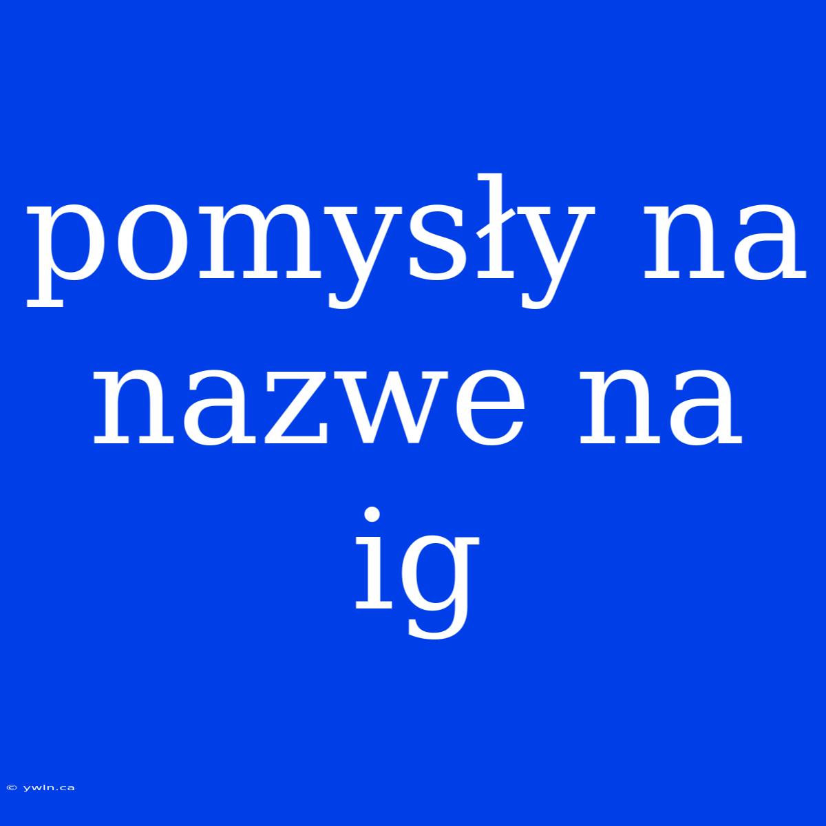 Pomysły Na Nazwe Na Ig