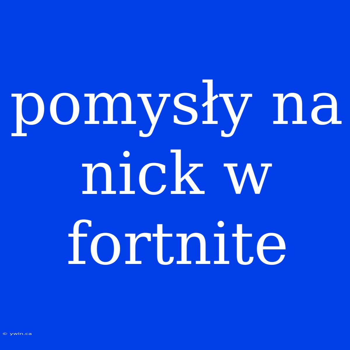 Pomysły Na Nick W Fortnite