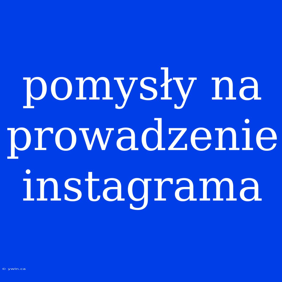 Pomysły Na Prowadzenie Instagrama