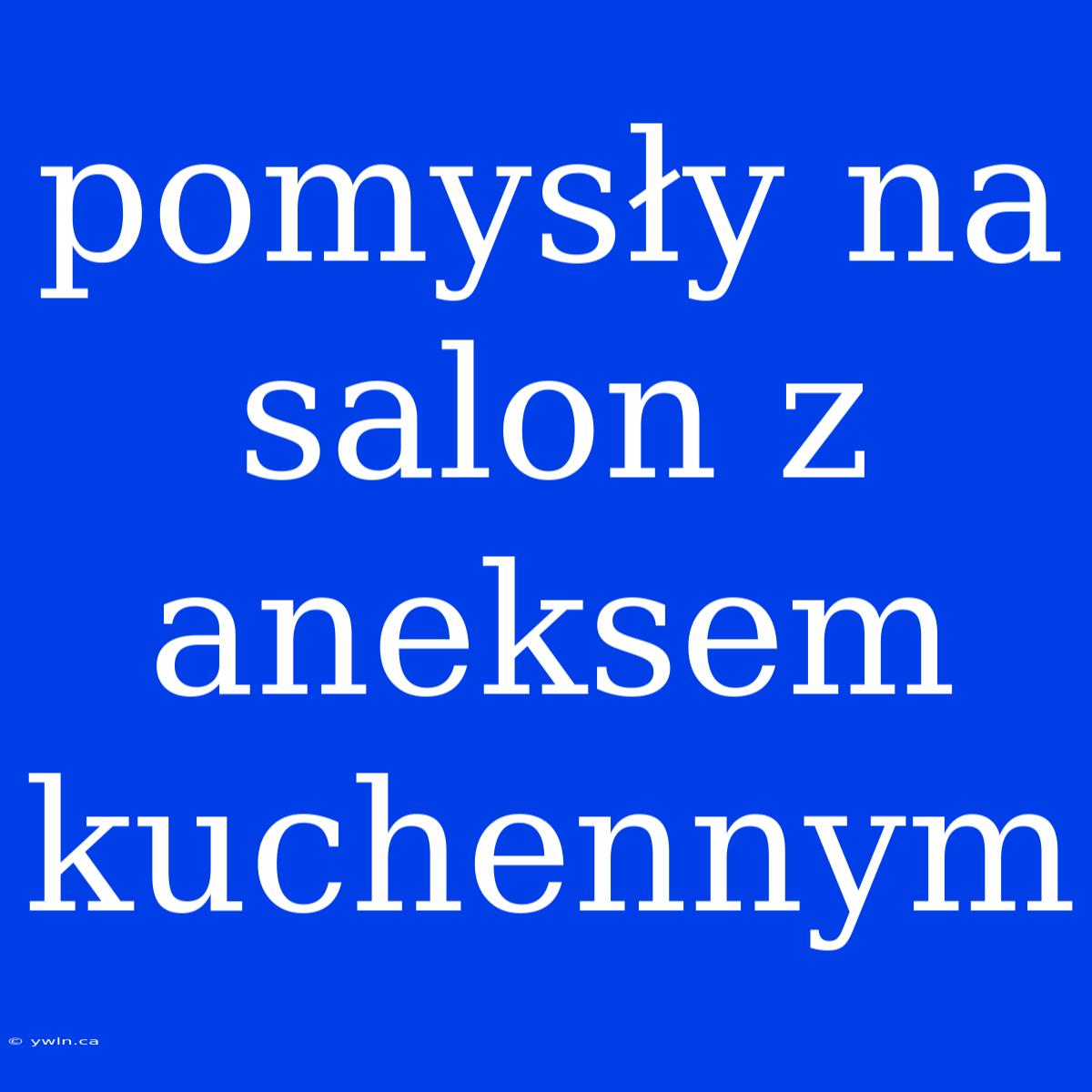 Pomysły Na Salon Z Aneksem Kuchennym