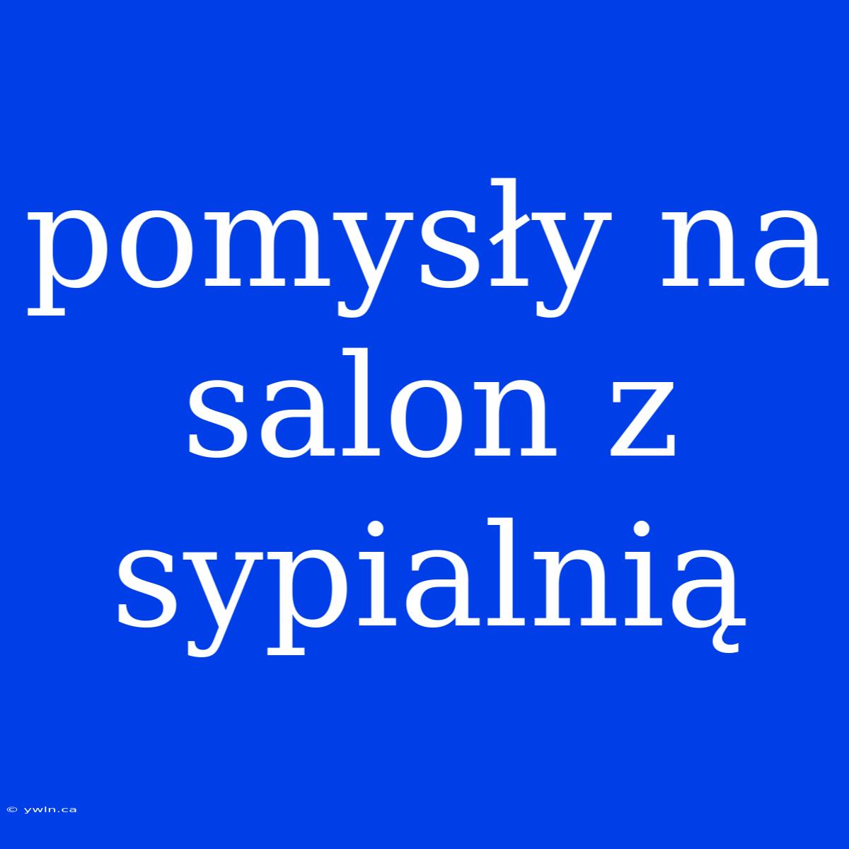 Pomysły Na Salon Z Sypialnią