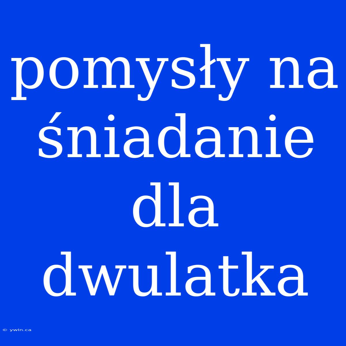 Pomysły Na Śniadanie Dla Dwulatka