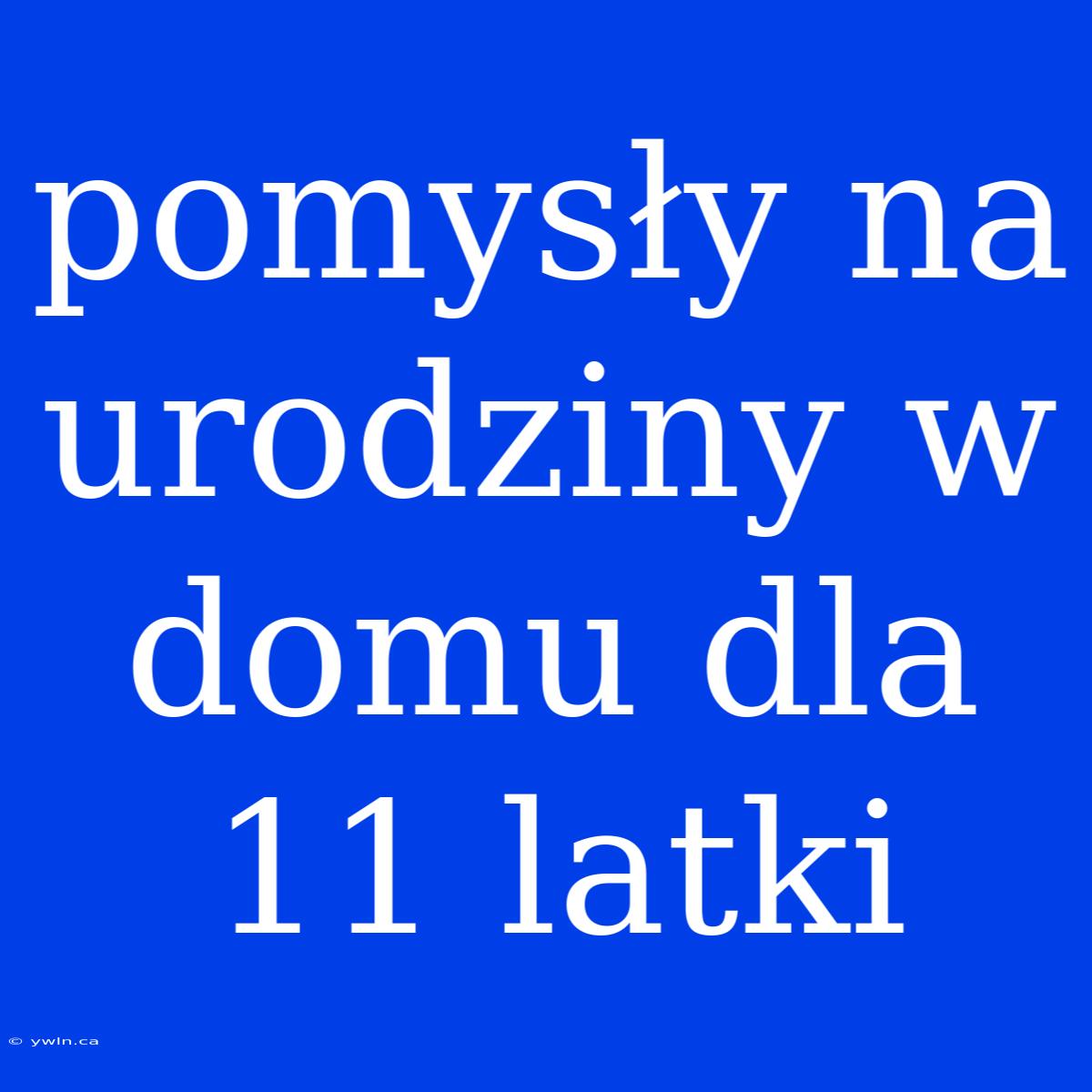 Pomysły Na Urodziny W Domu Dla 11 Latki