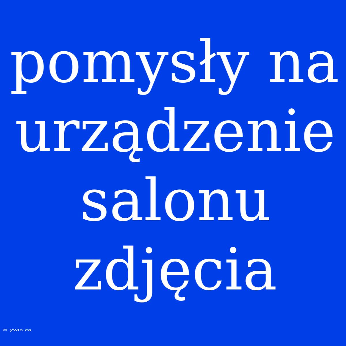 Pomysły Na Urządzenie Salonu Zdjęcia