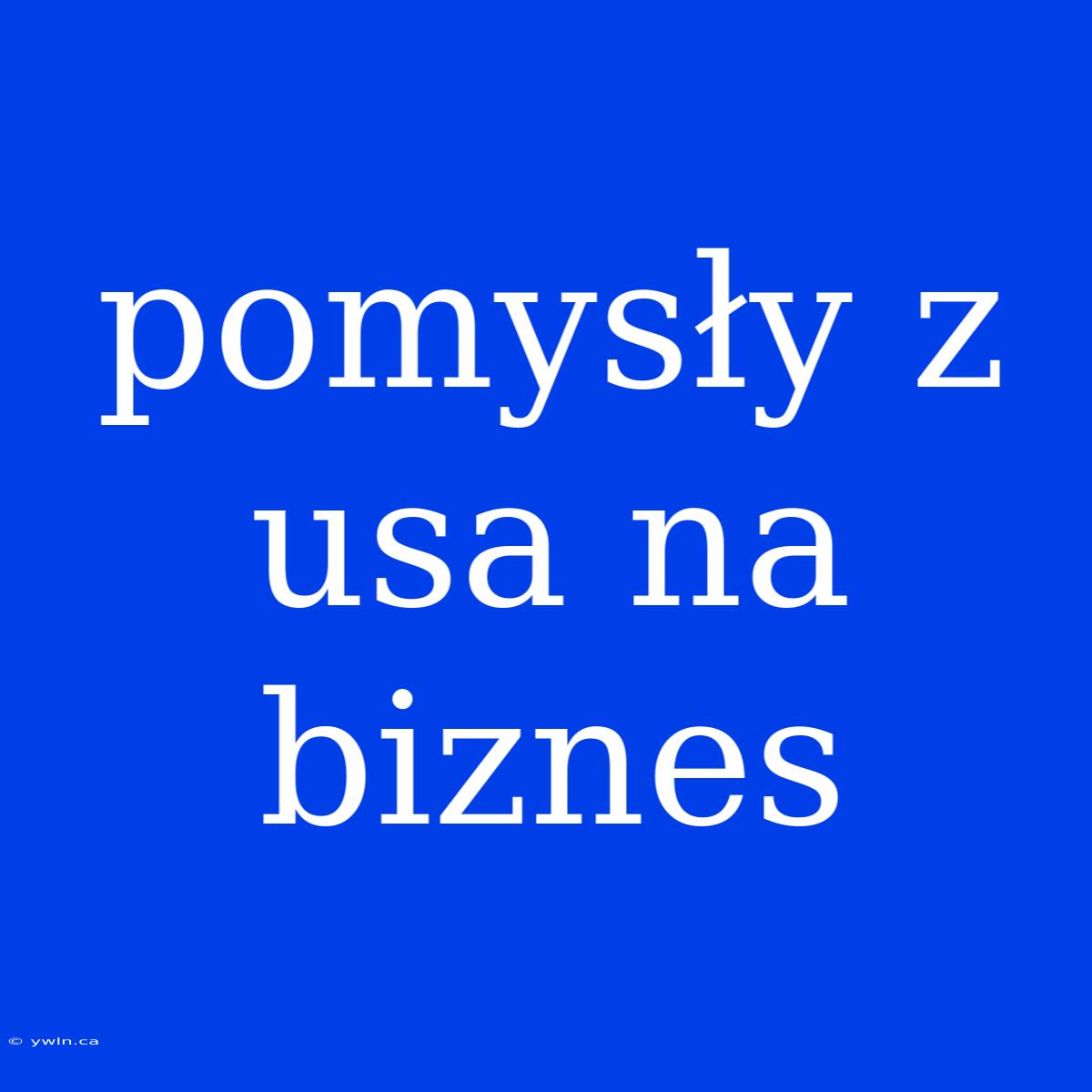 Pomysły Z Usa Na Biznes