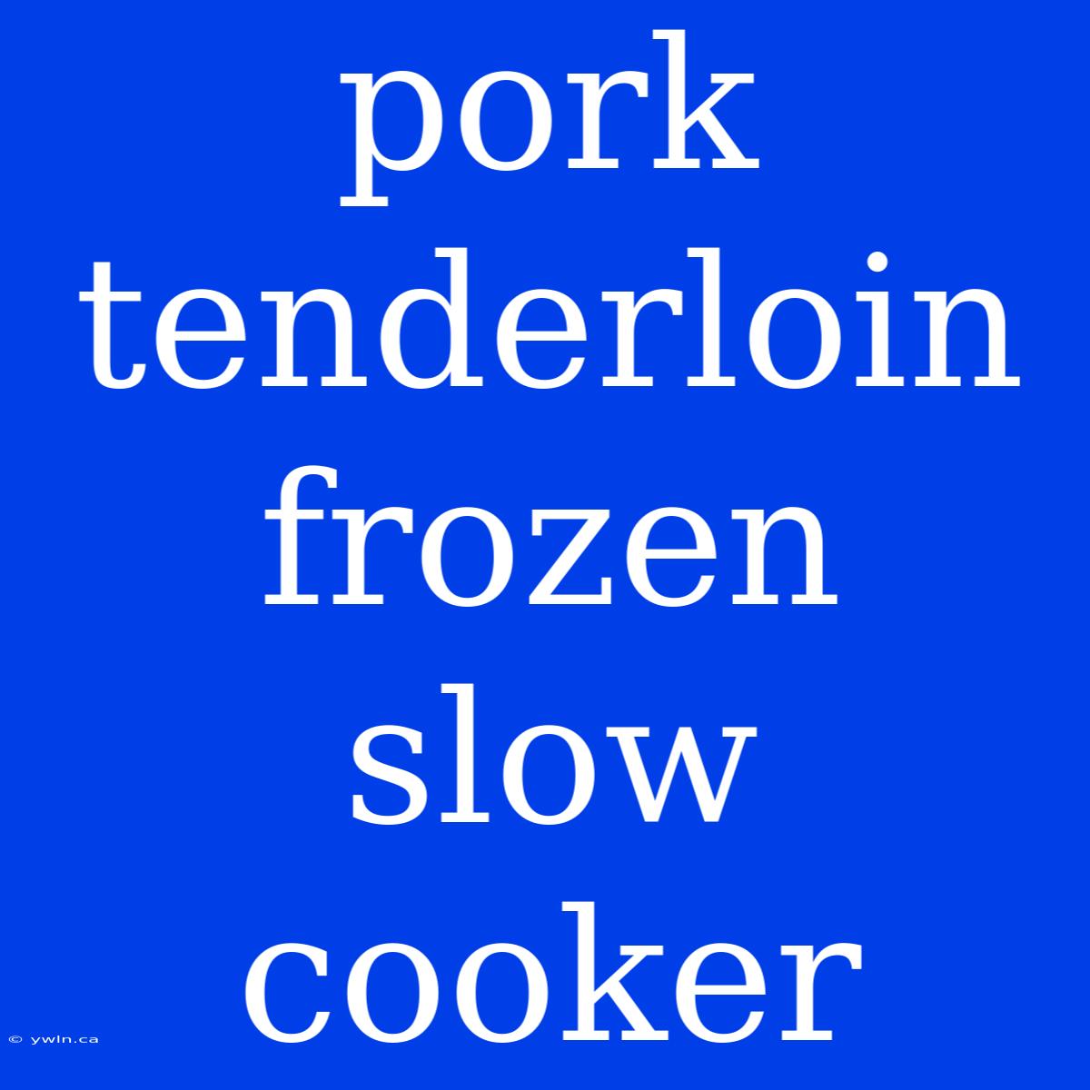 Pork Tenderloin Frozen Slow Cooker