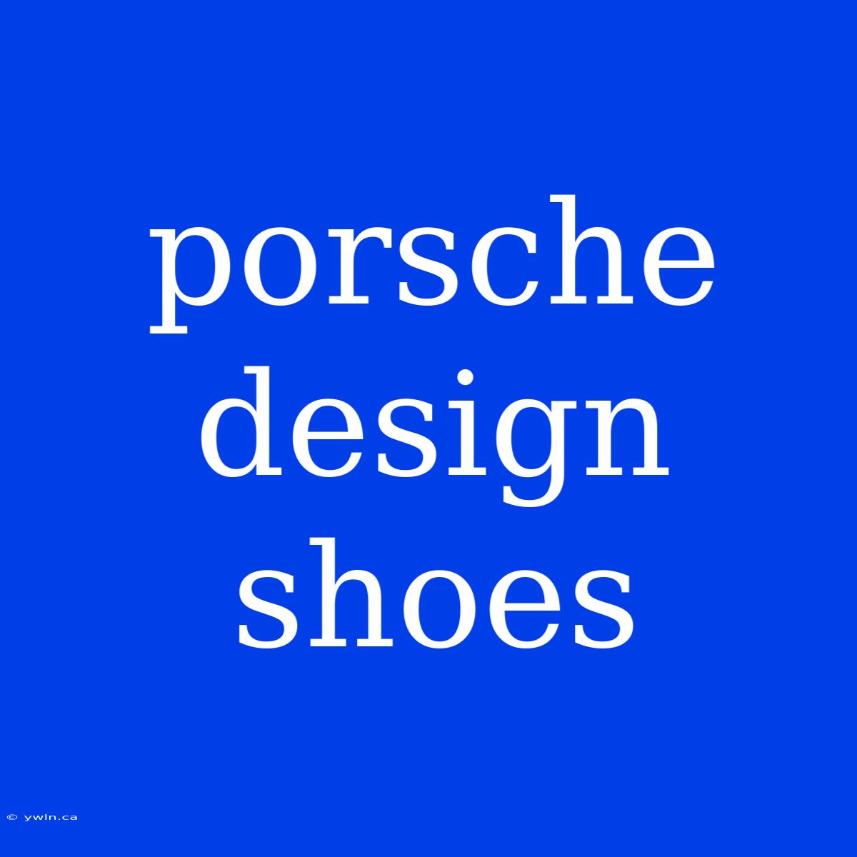 Porsche Design Shoes