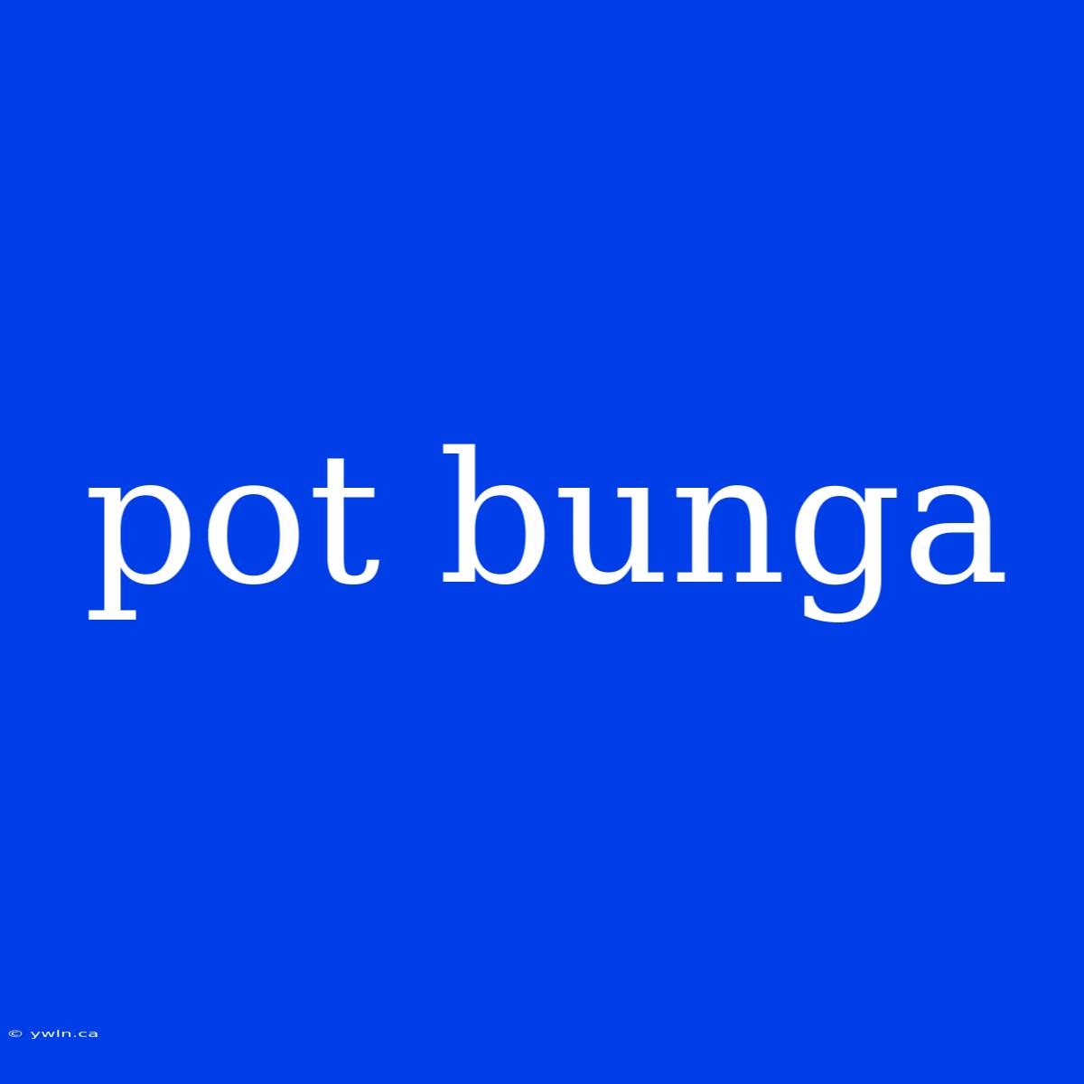 Pot Bunga