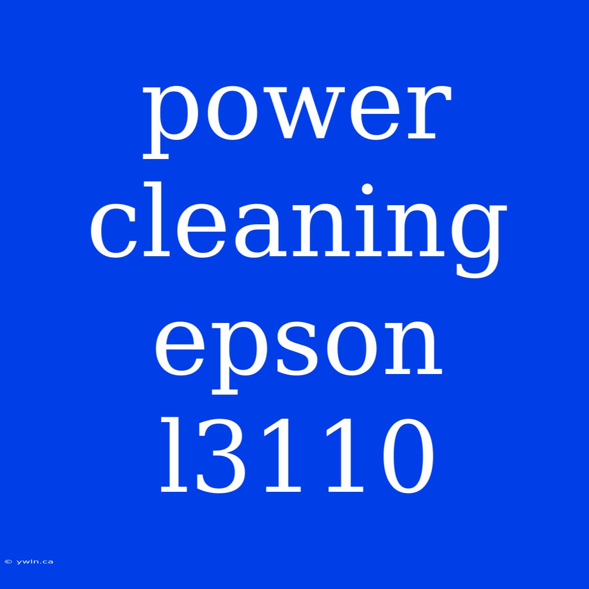 Power Cleaning Epson L3110