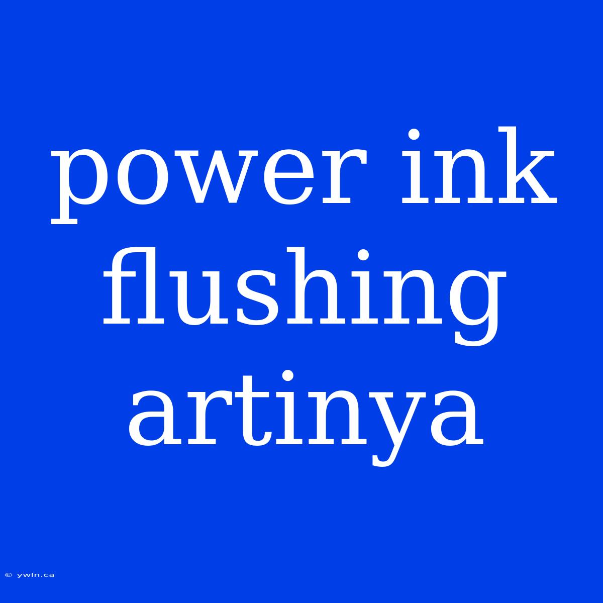 Power Ink Flushing Artinya