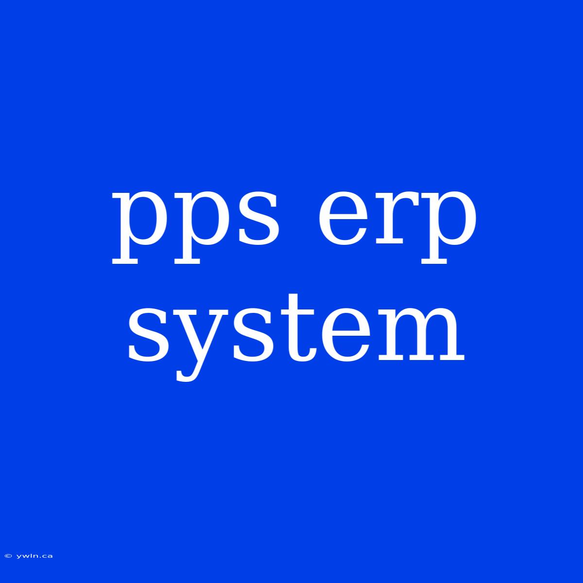 Pps Erp System