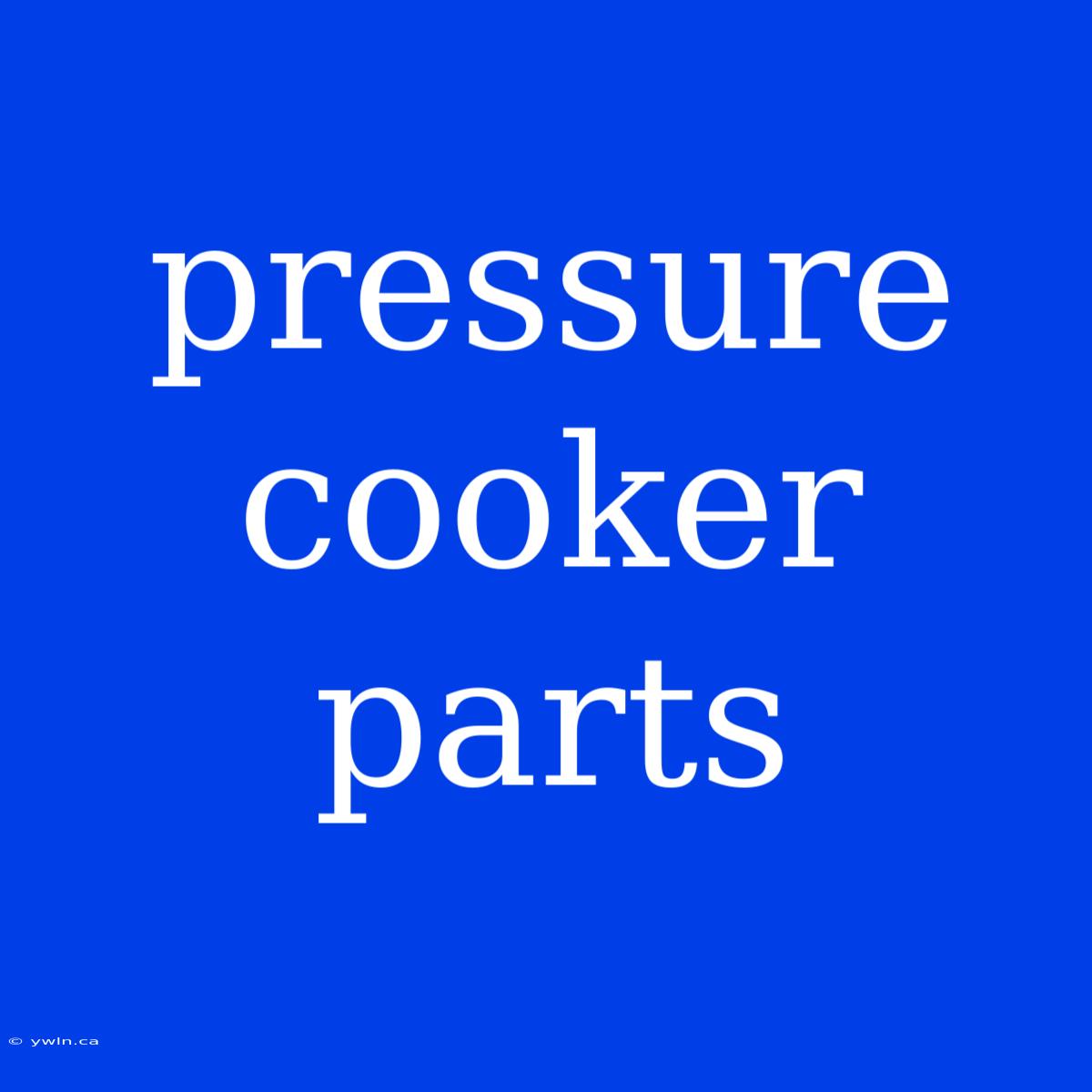 Pressure Cooker Parts