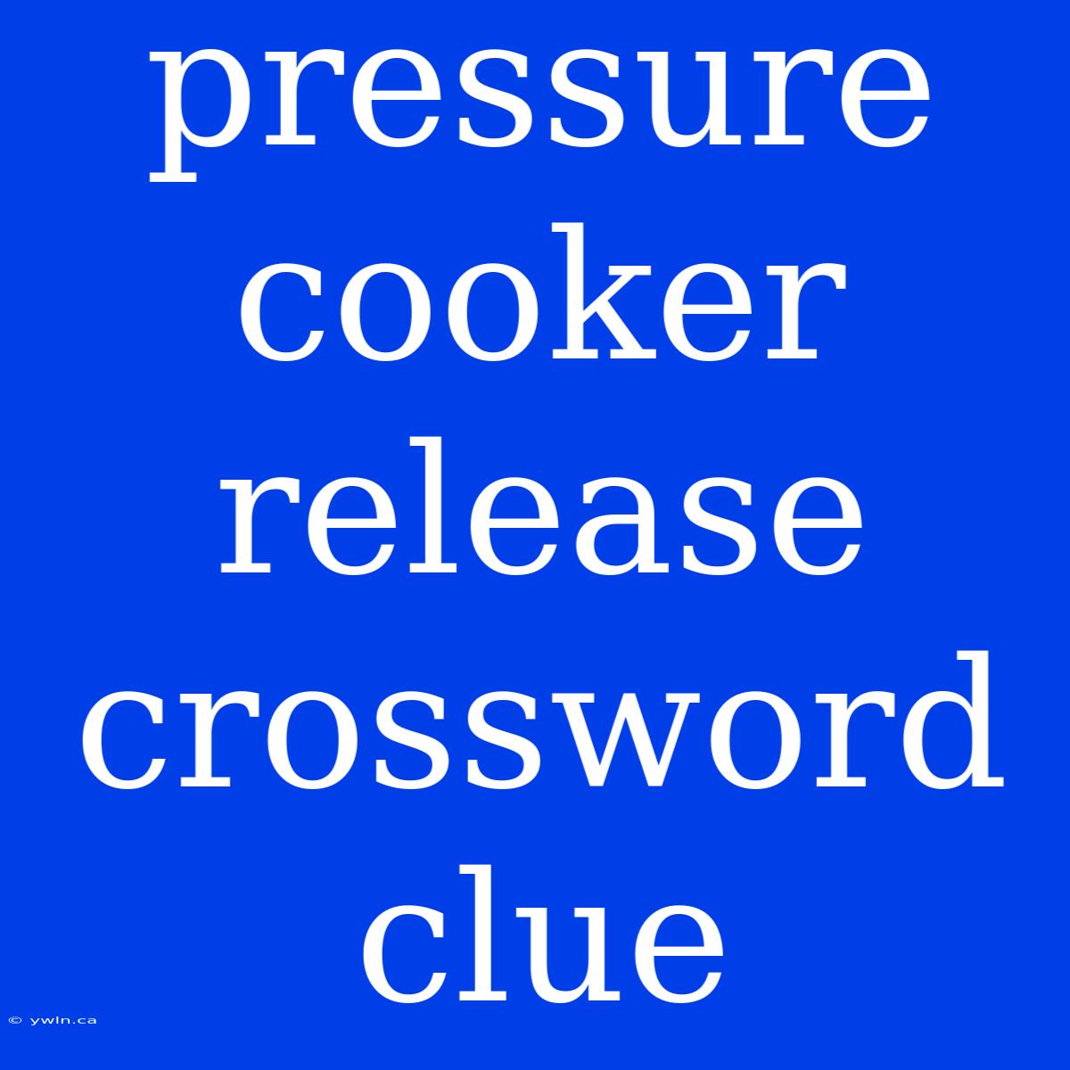 Pressure Cooker Release Crossword Clue