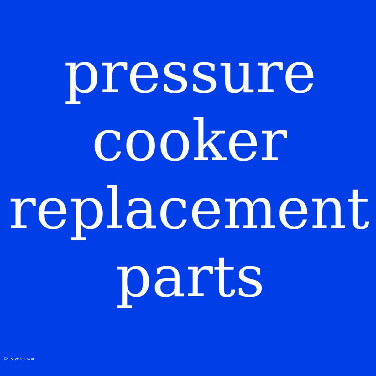 Pressure Cooker Replacement Parts