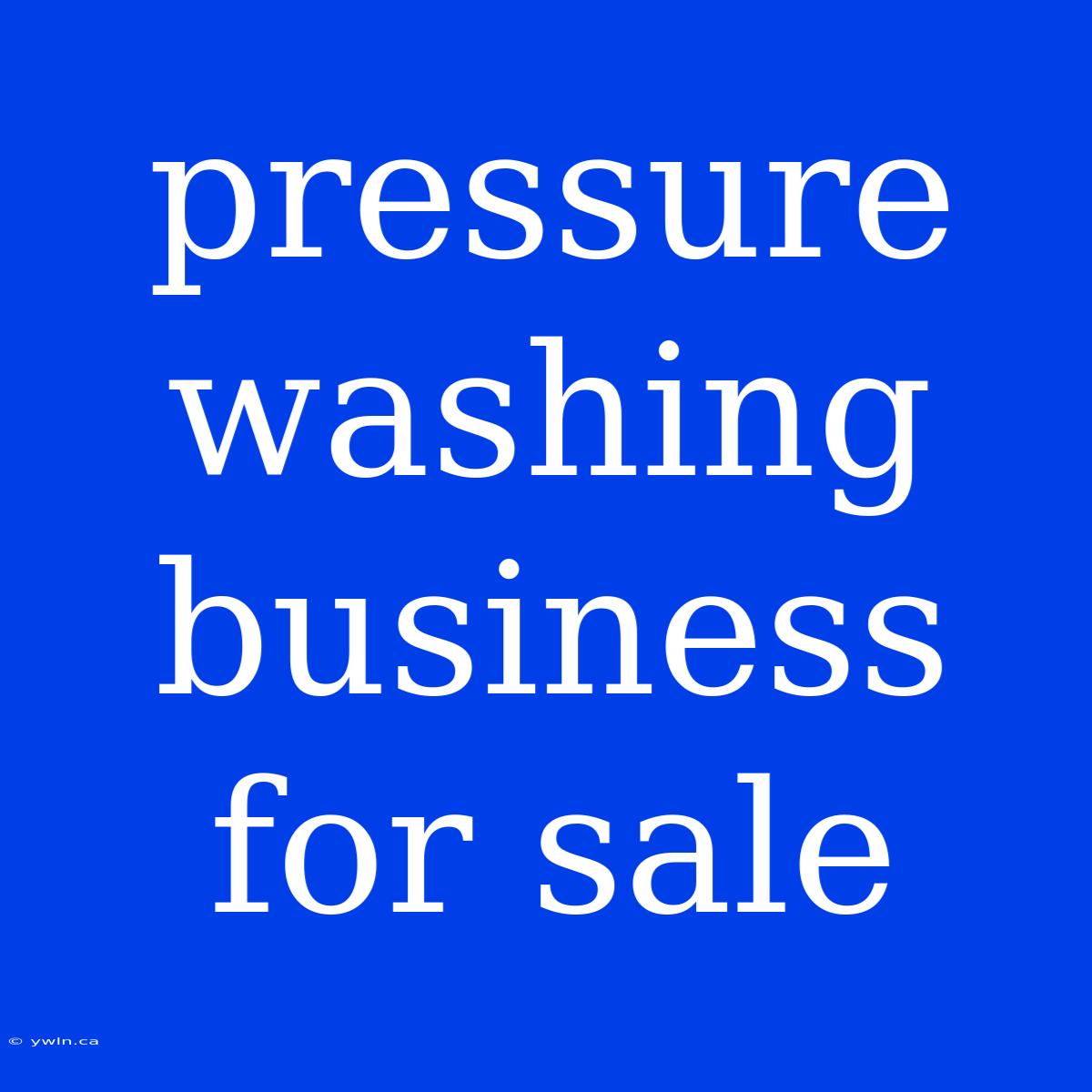 Pressure Washing Business For Sale