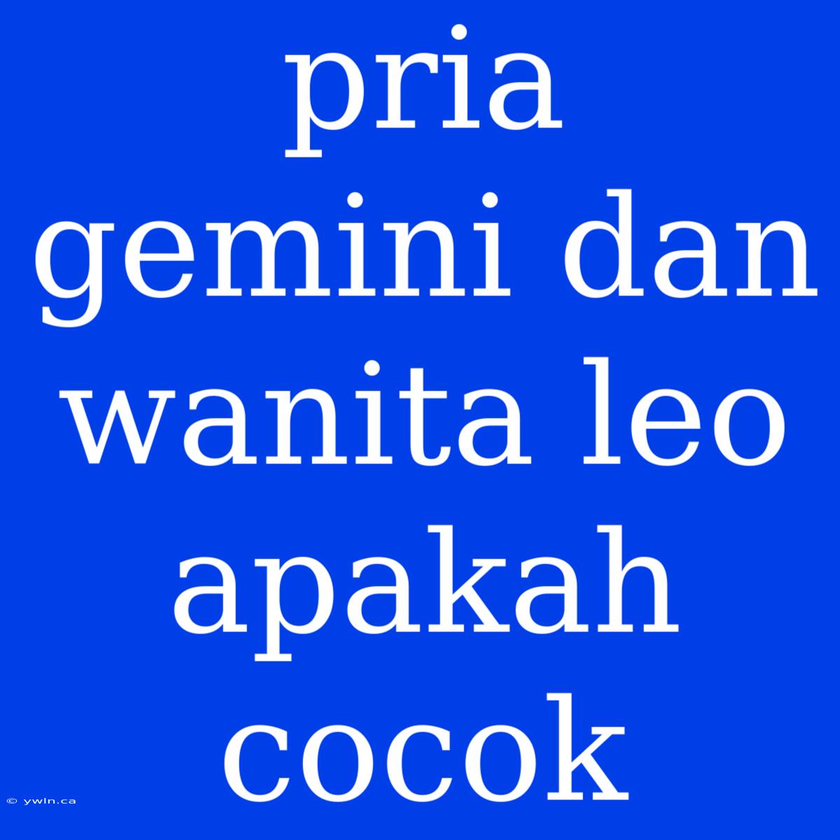 Pria Gemini Dan Wanita Leo Apakah Cocok