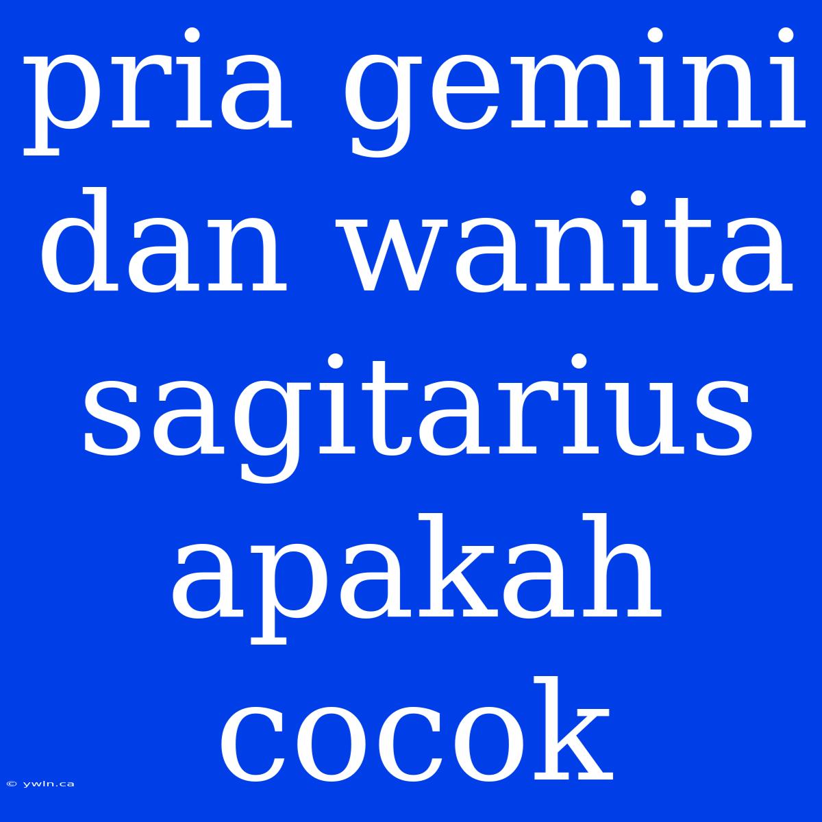 Pria Gemini Dan Wanita Sagitarius Apakah Cocok