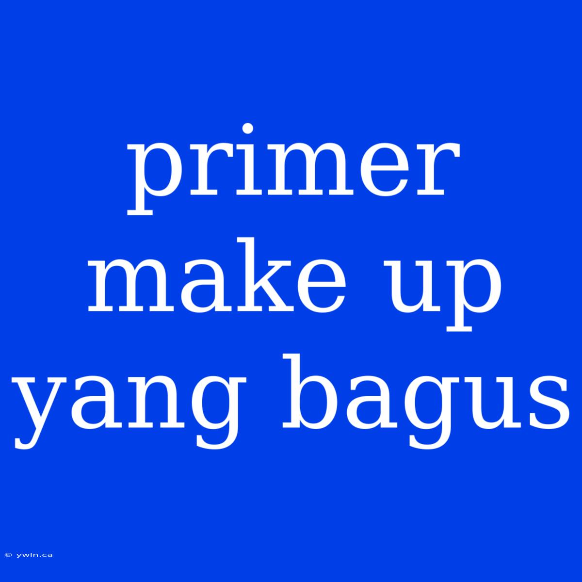 Primer Make Up Yang Bagus