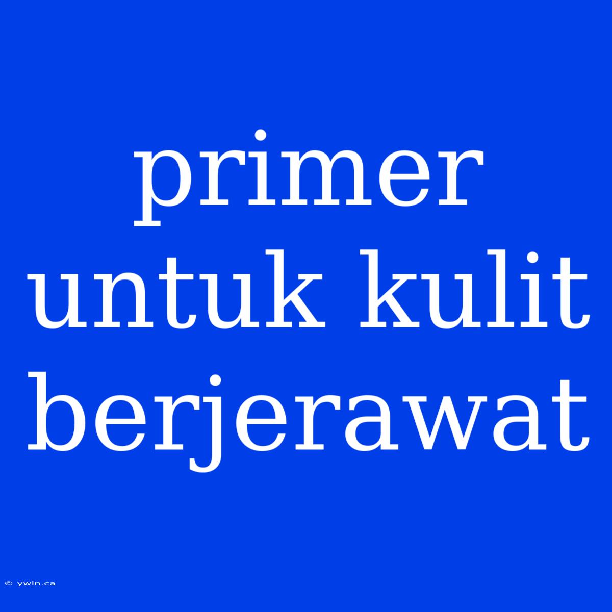 Primer Untuk Kulit Berjerawat