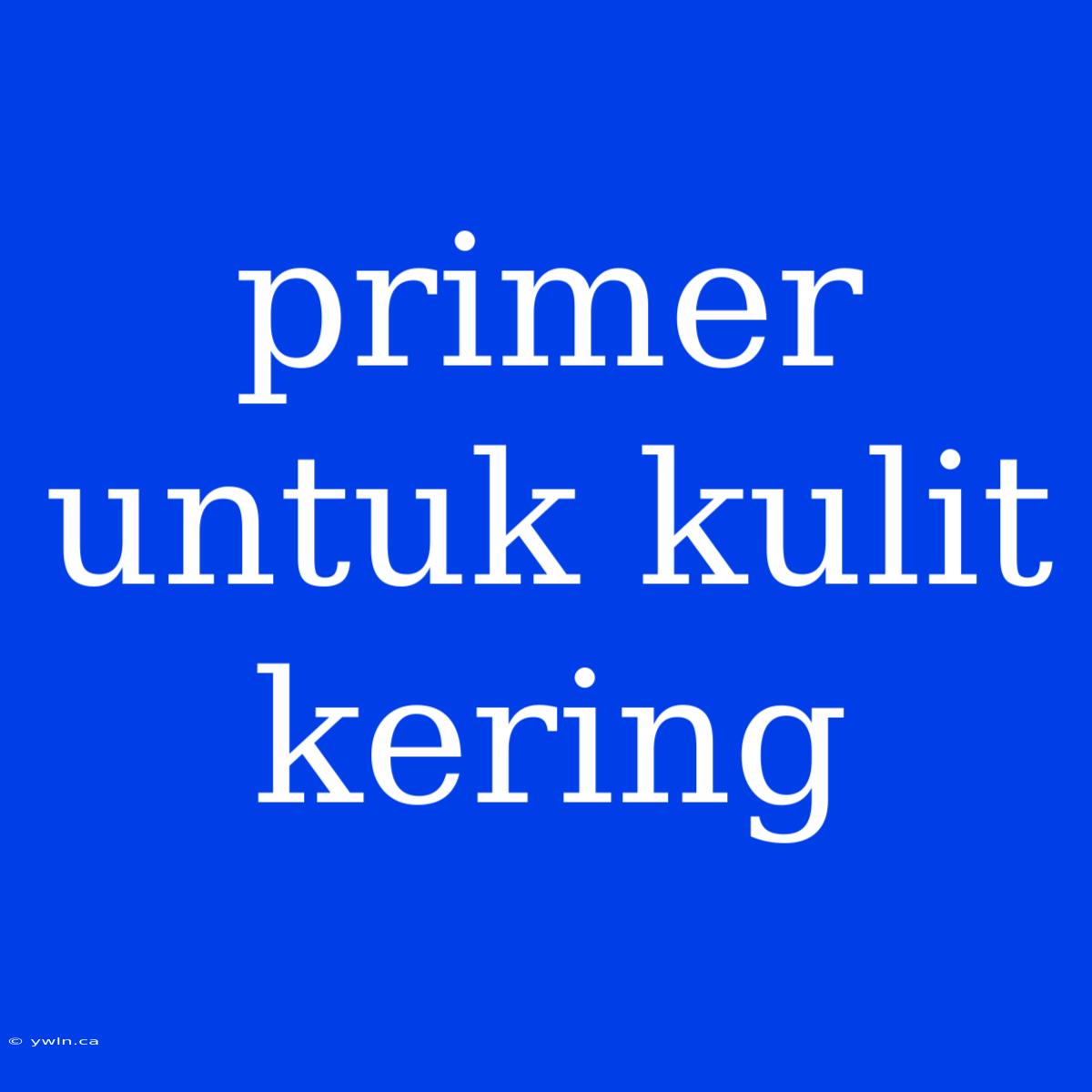 Primer Untuk Kulit Kering