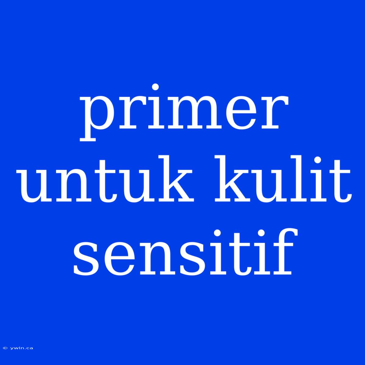 Primer Untuk Kulit Sensitif