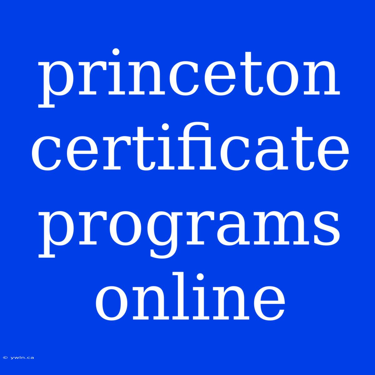 Princeton Certificate Programs Online