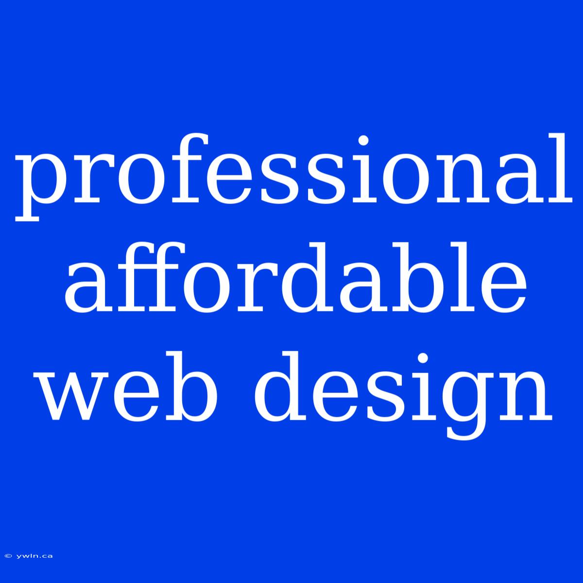 Professional Affordable Web Design