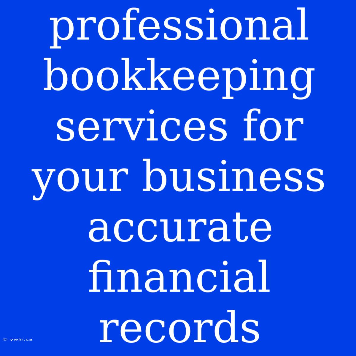 Professional Bookkeeping Services For Your Business Accurate Financial Records